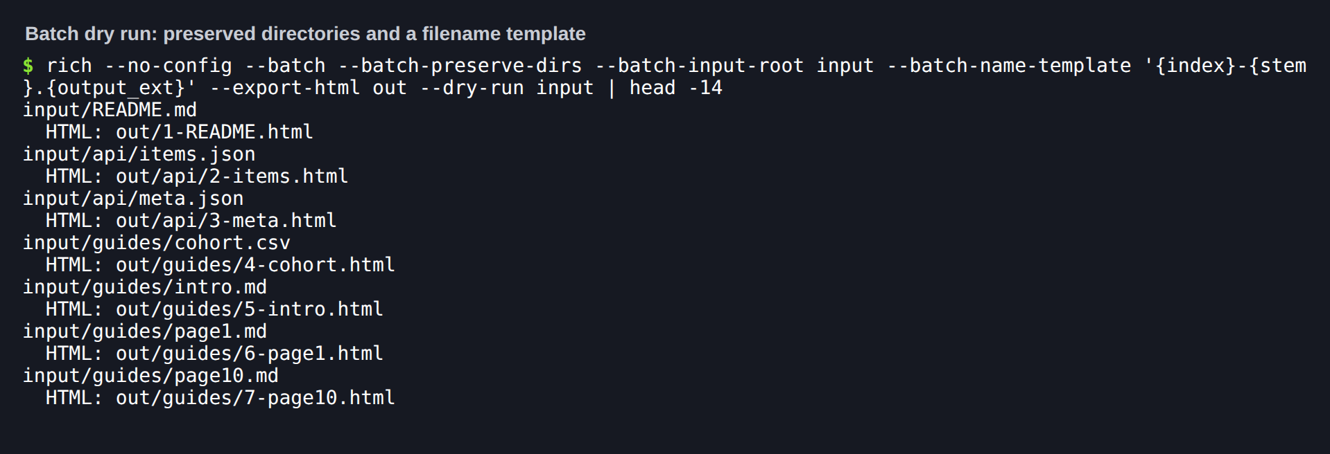 Batch dry run with preserved directories and a name template