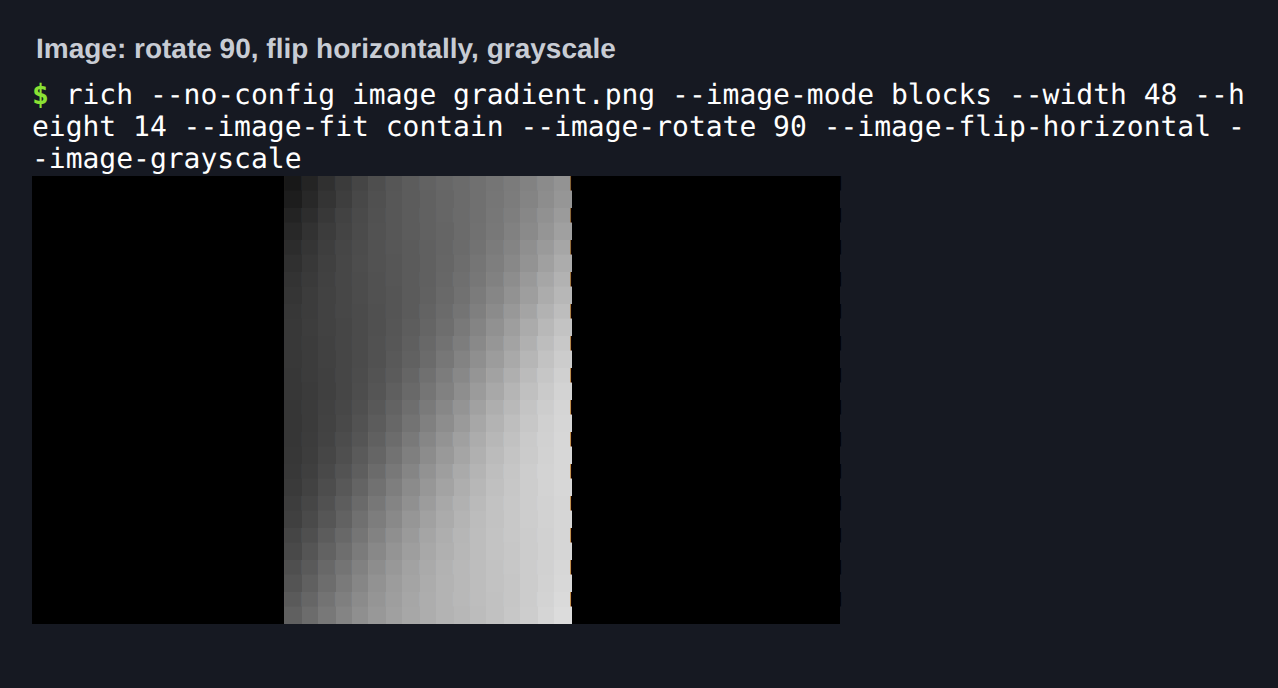 Rotated, flipped and grayscale image
