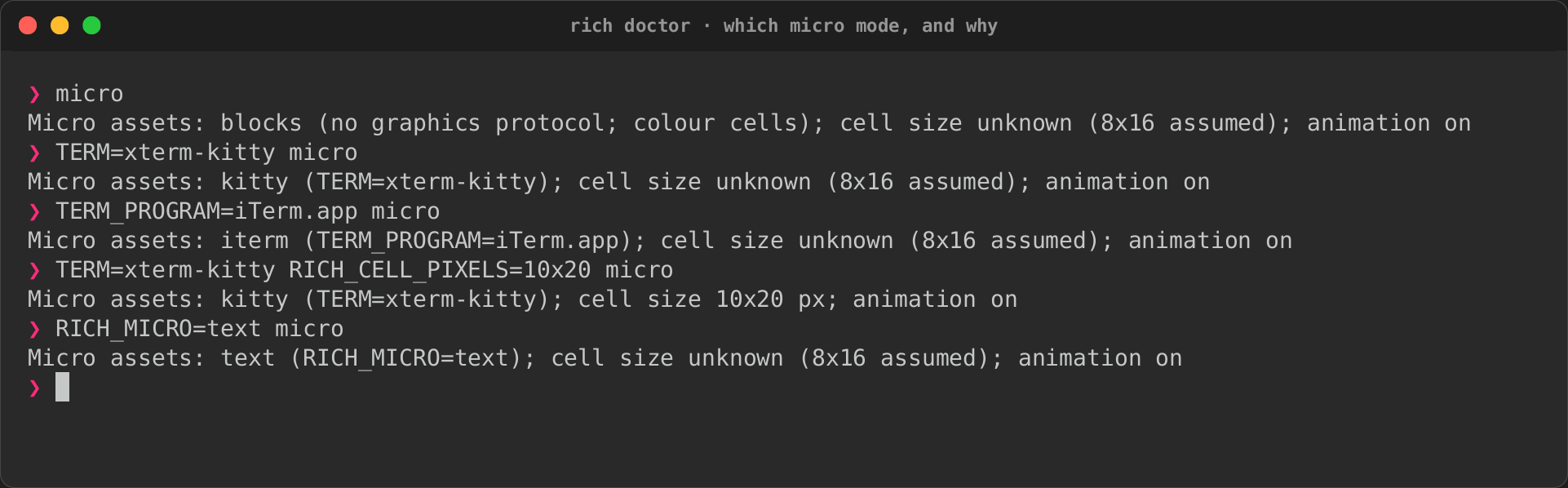 rich doctor's micro line for a plain terminal, kitty, iTerm2, a known cell size and RICH_MICRO=text